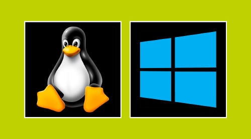 Windows o Linux