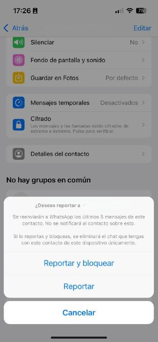 reportar y bloquear contacto WhatsApp