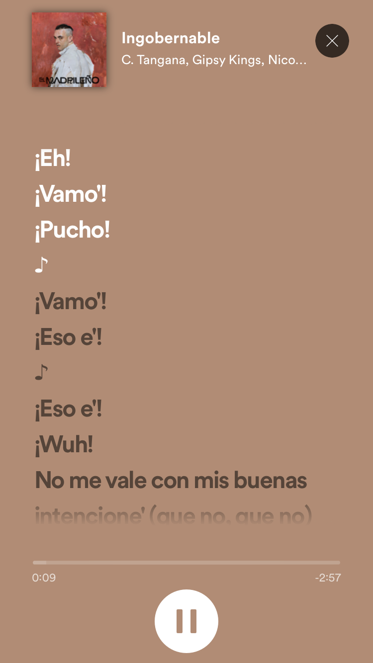 Cómo Reconocer Canciones En Spotify Por Las Letras | Bloygo