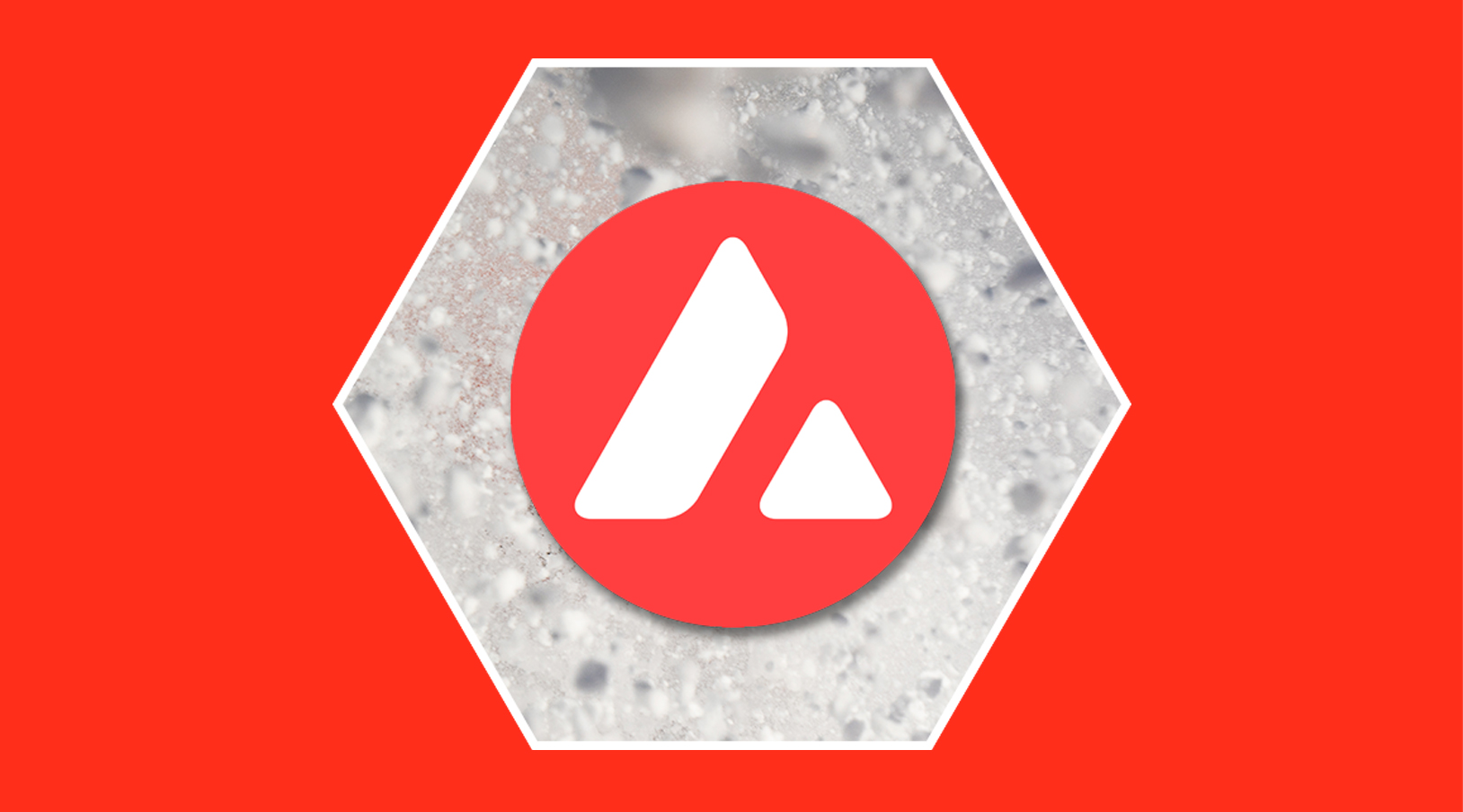 Avalanche (AVAX): la criptomoneda meta tapada de moda | Bloygo