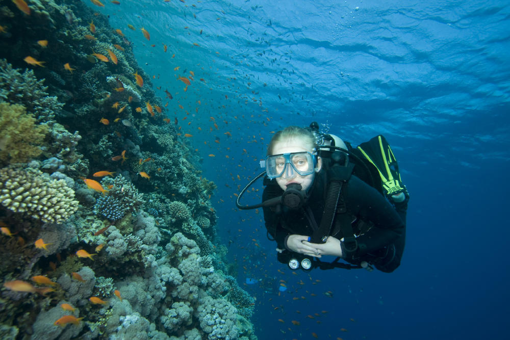 Mejores cámaras sumergibles para buceo y actividades acuáticas | Bloygo
