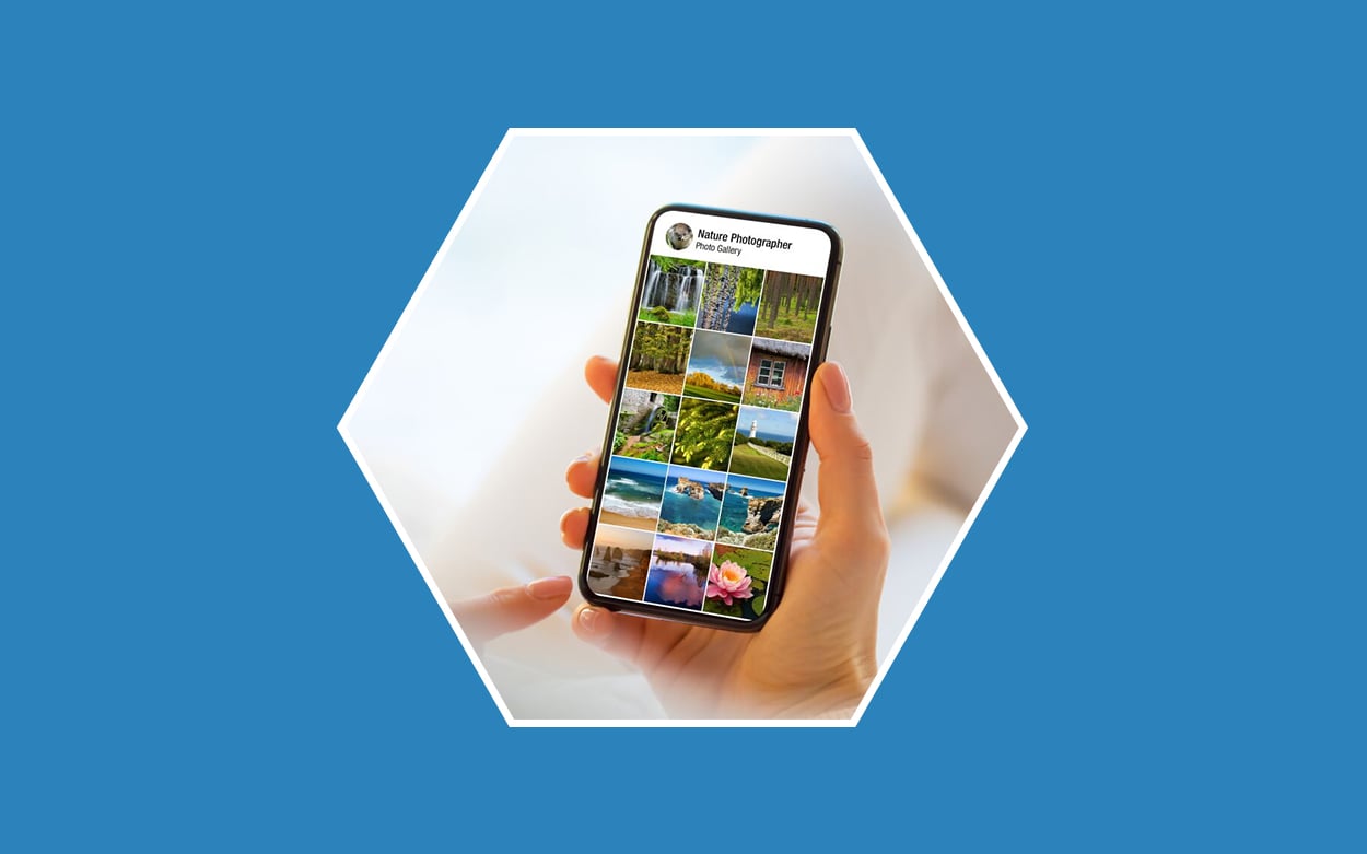 Mejores apps para identificar plantas【2021】 Bloygo Mejores apps para identificar plantas【2021】 Bloygo