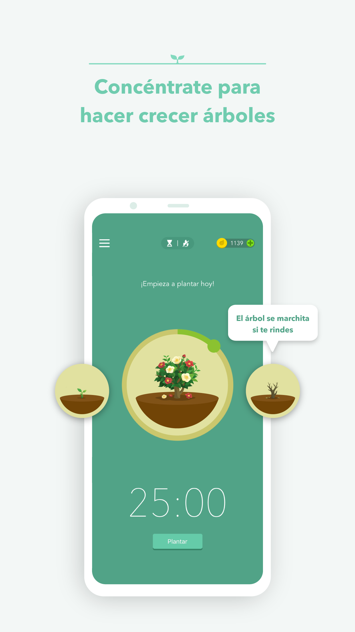 Las mejores apps para estudiar y organizar tu curso escolar