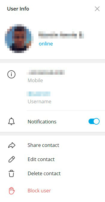 Bloquear un usuario en Telegram web