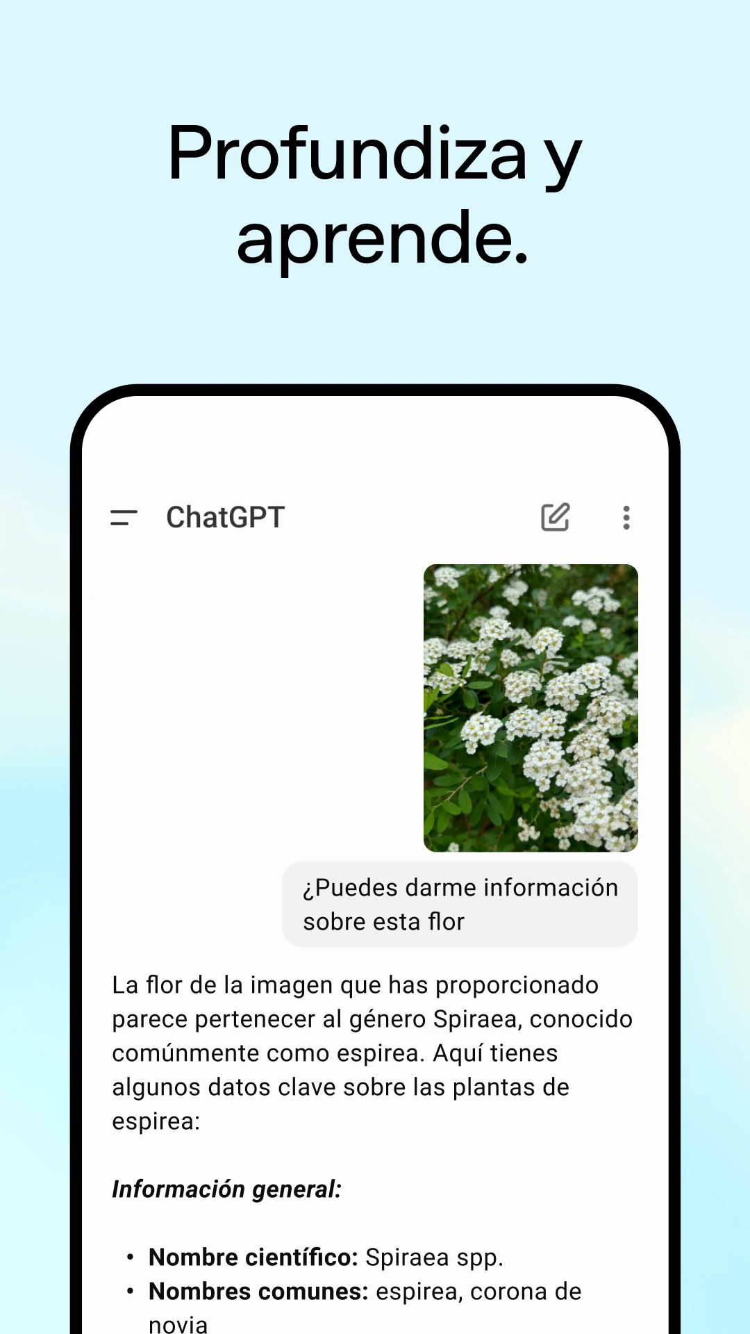 Las apps m&aacute;s descargadas en Espa&ntilde;a y por qu&eacute; todo el mundo las usa