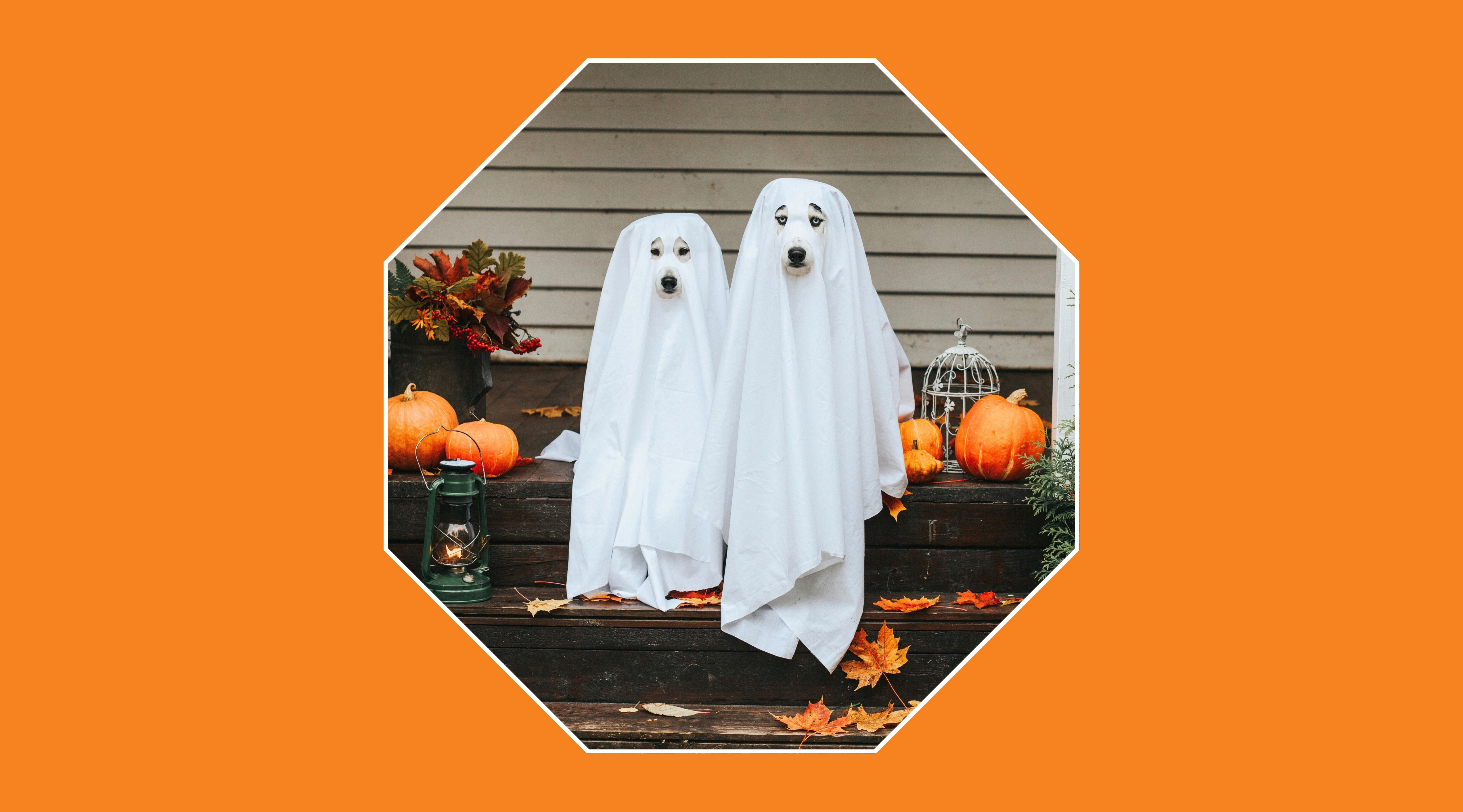 Halloween 2026: encuentra el disfraz perfecto para este año