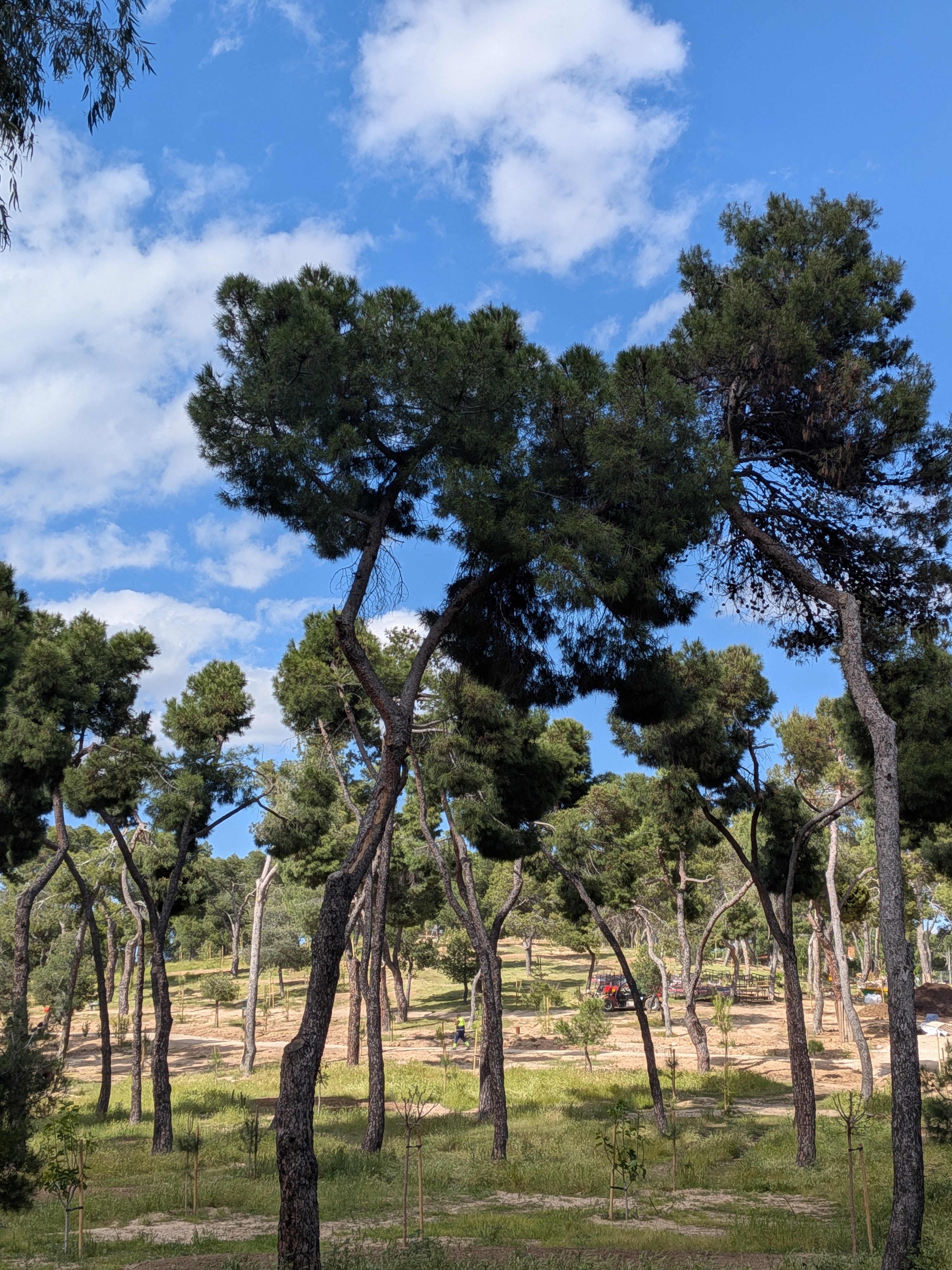 Foto Google Pixel 9a