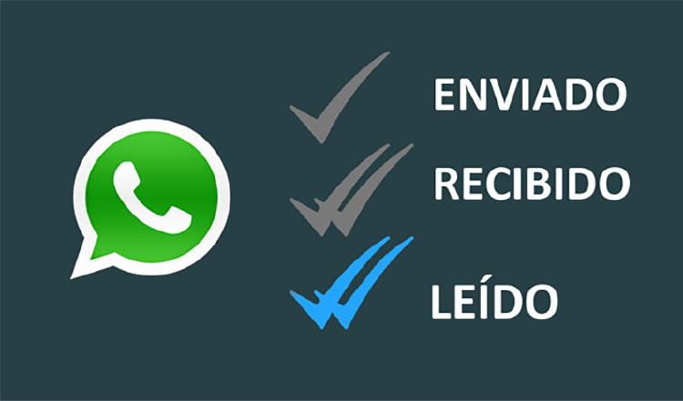 Ocultar check azul de WhatsApp: paso a paso en móvil | Bloygo