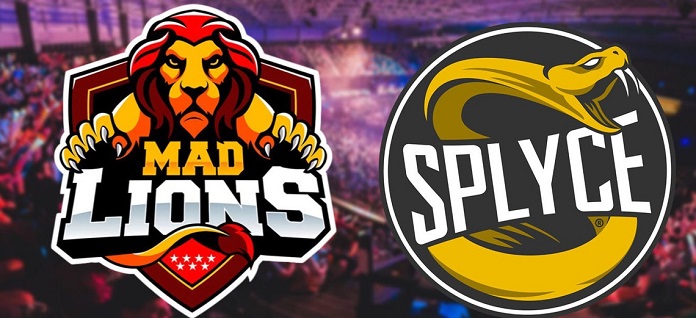 splyce mad lions