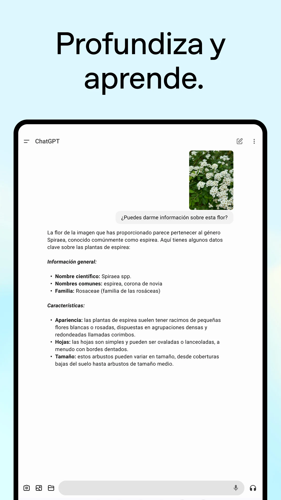 Convierte cualquier examen en un juego gracias a la IA