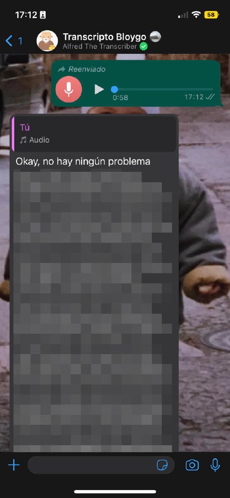 bot whatsapp bot whatsapp