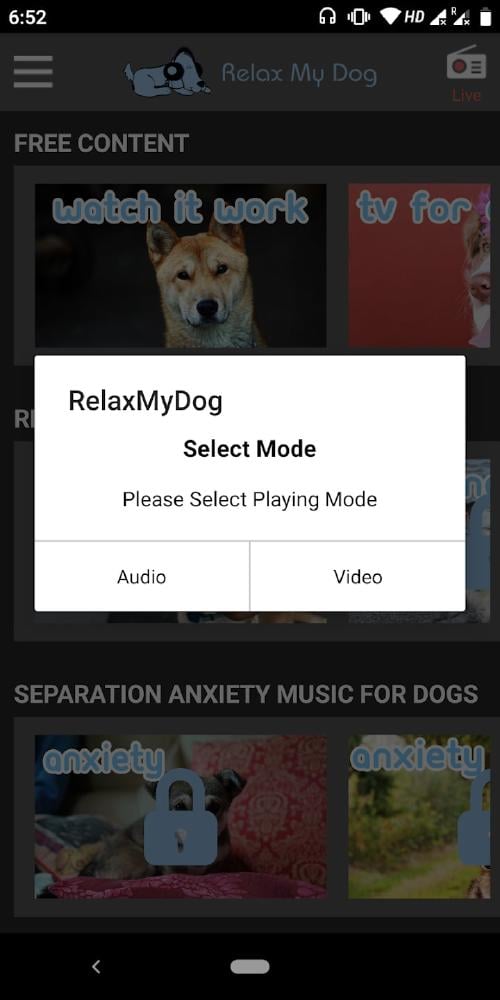 Relax My Dog   soothing Music