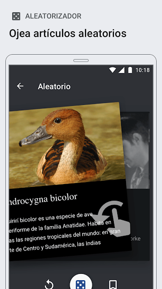 Combate el doomscrolling con estas apps para ser m&aacute;s culto cada d&iacute;a