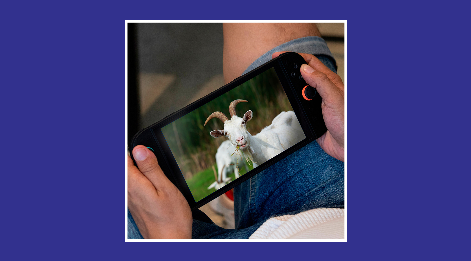 Vuelve a Switch 2 el juego que marcó la era dorada de YouTube Goat SImulator 3