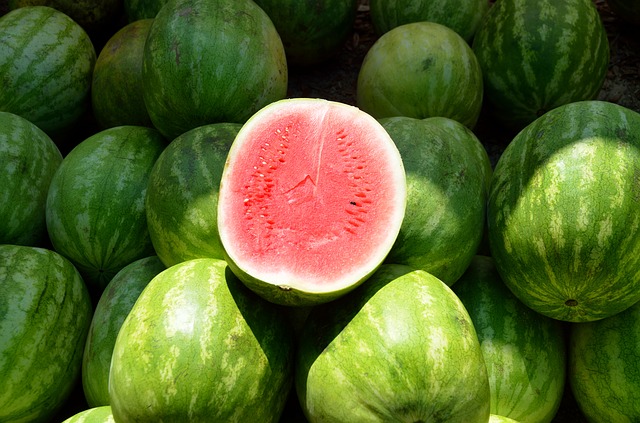 water-melon-1652093_640