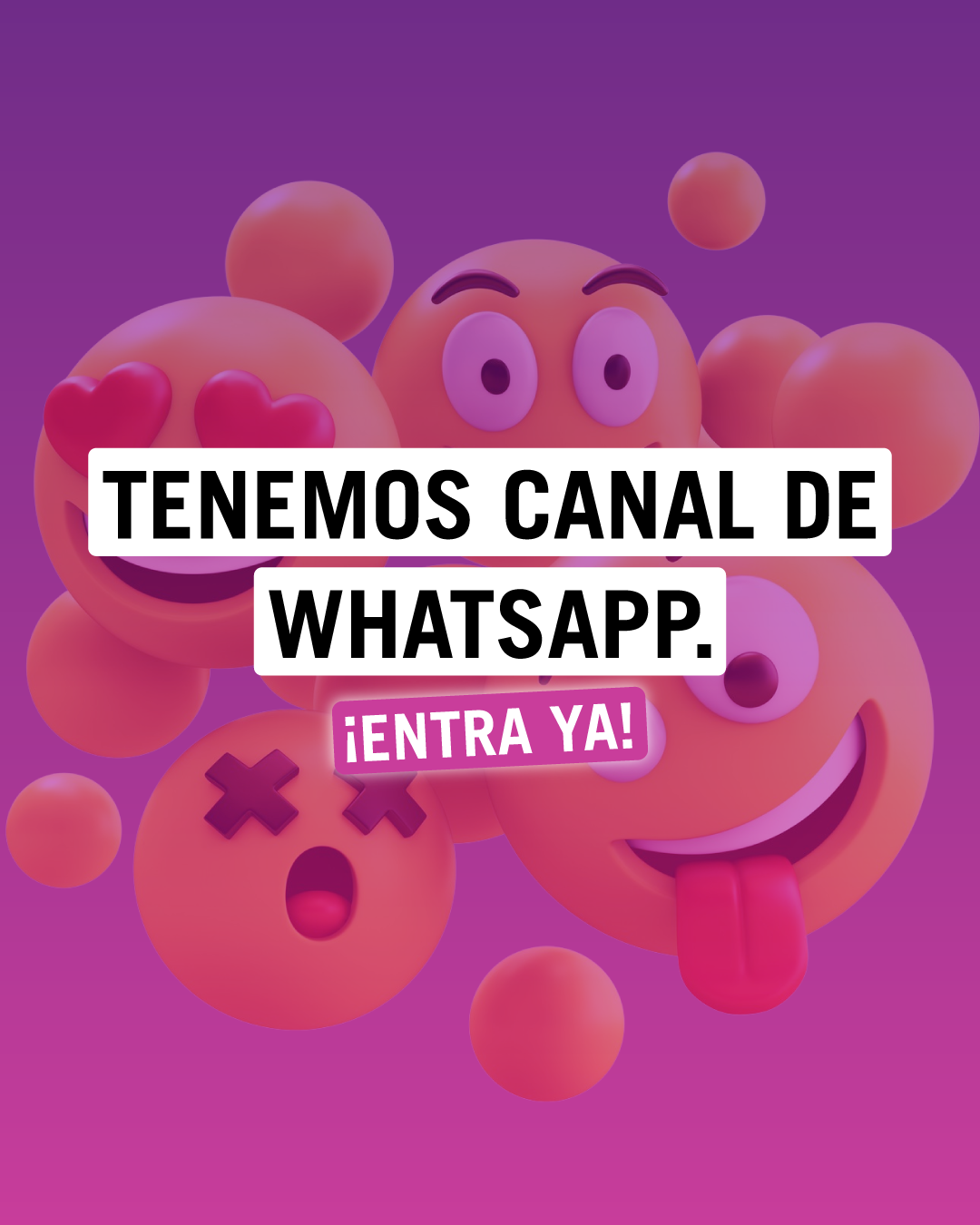 El exclusivo canal de WhatsApp de Yoigo ¡No te lo pierdas!
