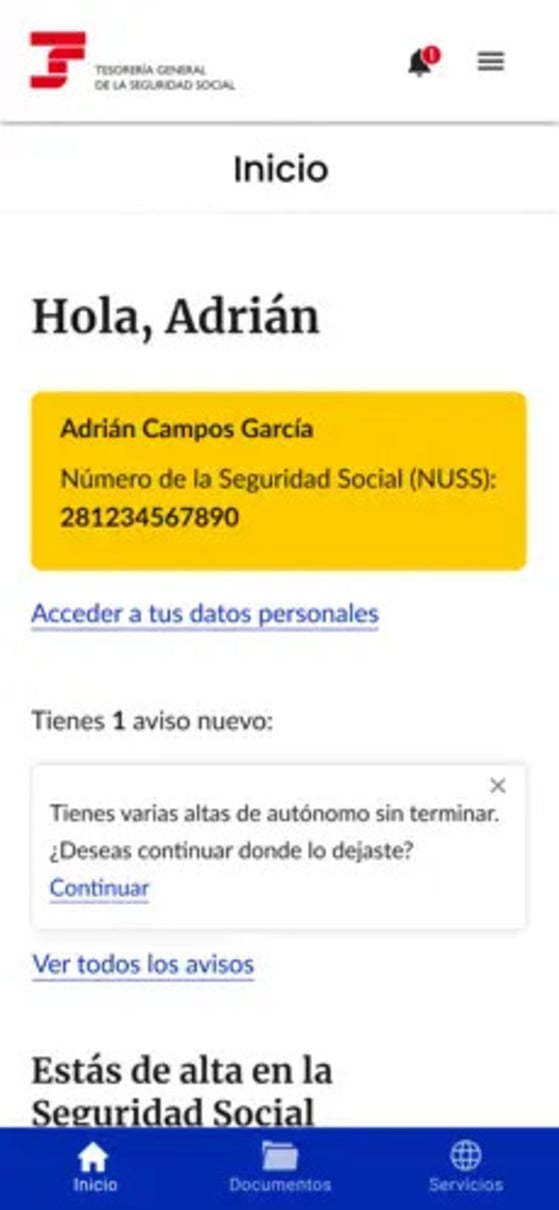 inicio seguridad social iphone