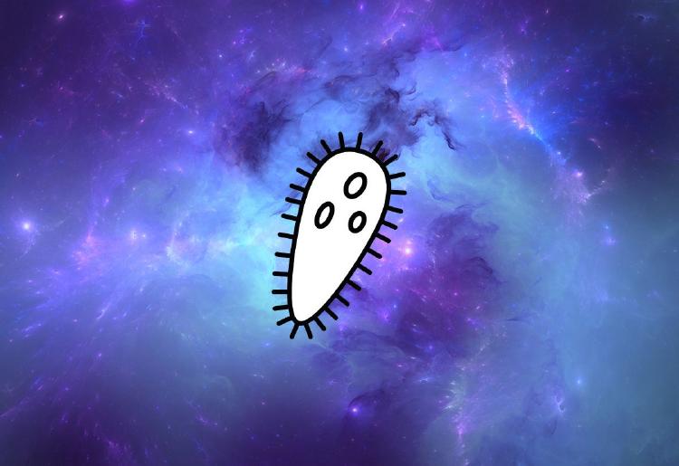 Eres una ameba Eres una ameba